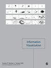 Information Visualization雜志封面